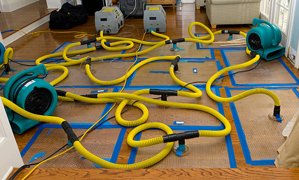 Professional Basement Flood Cleanup technician working in Guilderland, NY